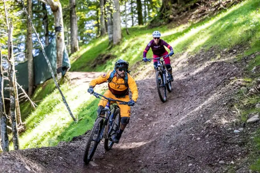 Zwei Mountainbiker fahren einen Trail im Wald hinunter und die Sonne scheint durch die Bäume.