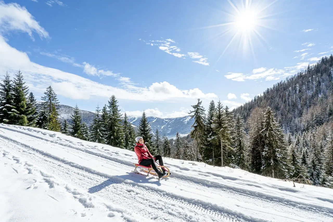 Eine Person rodelt einen schneebedeckten Weg durch einen Wald hinunter. Die Sonne strahl vom Himmel auf die umliegenden Berge und Wälder.