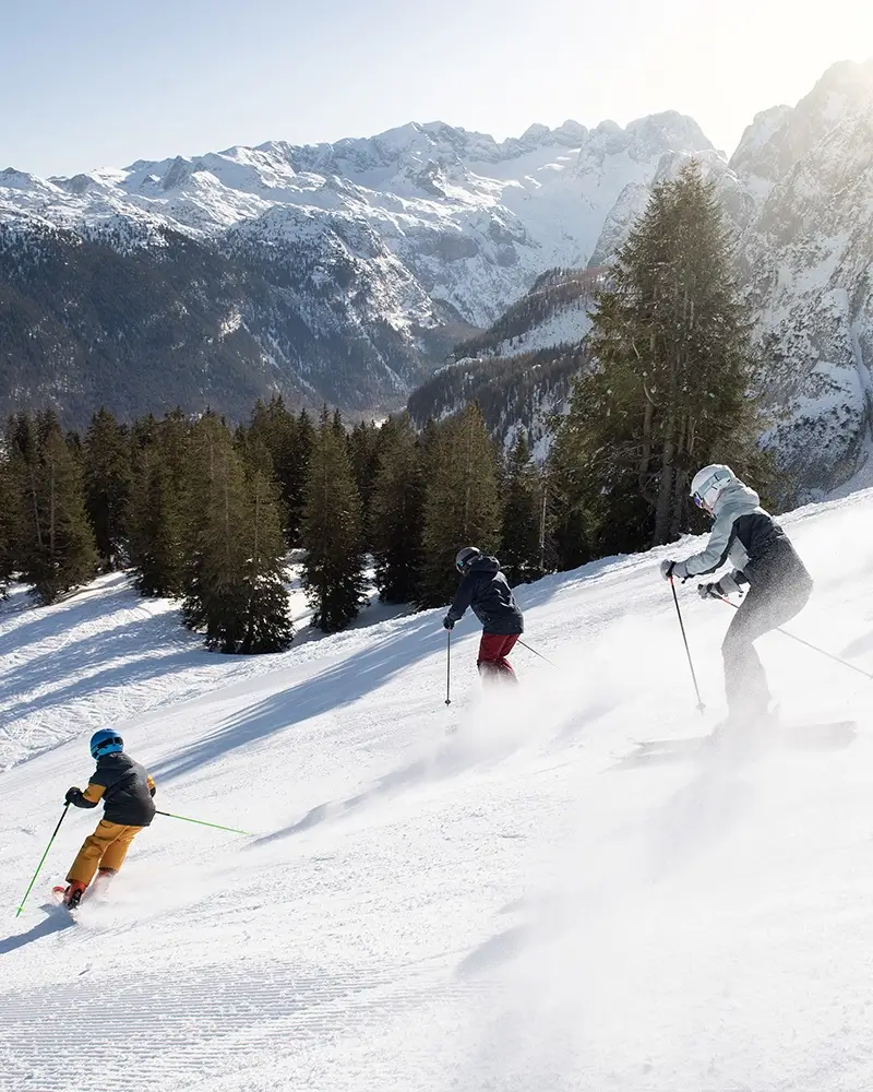 Zwei Erwachsene und ein Kind fahren mit Skiern eine Piste hinunter. Neben der Piste ist ein verschneiter Wald und man überblickt das Tal und die schneebedeckten Berggipfel.