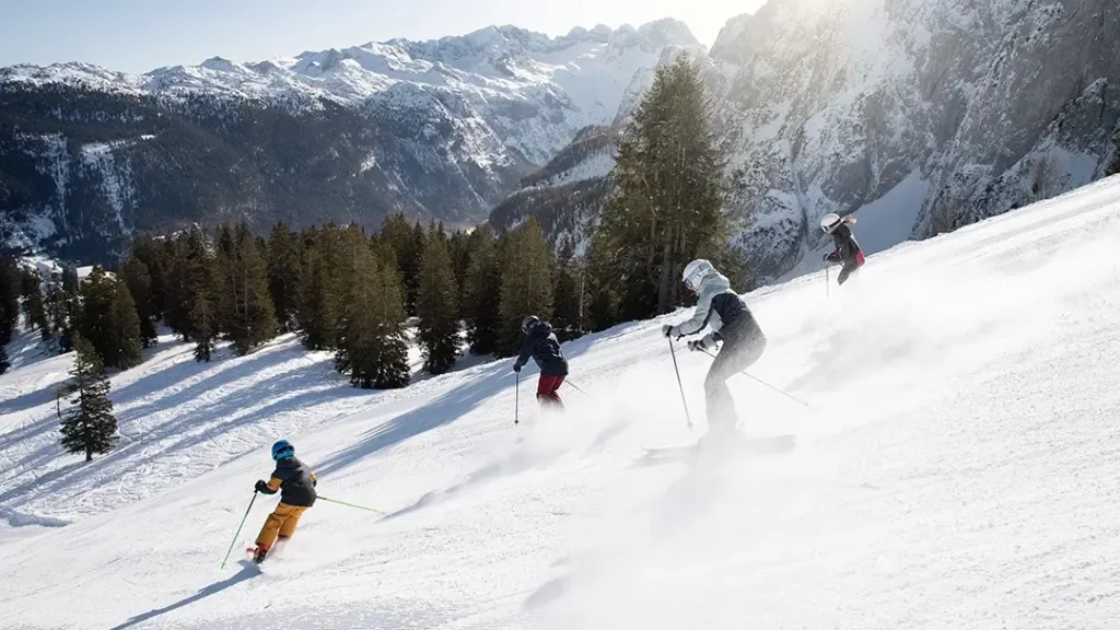 两个大人和两个孩子正在滑雪道上滑雪。滑雪道旁边是一片白雪覆盖的森林，可以看到山谷和白雪覆盖的山峰。