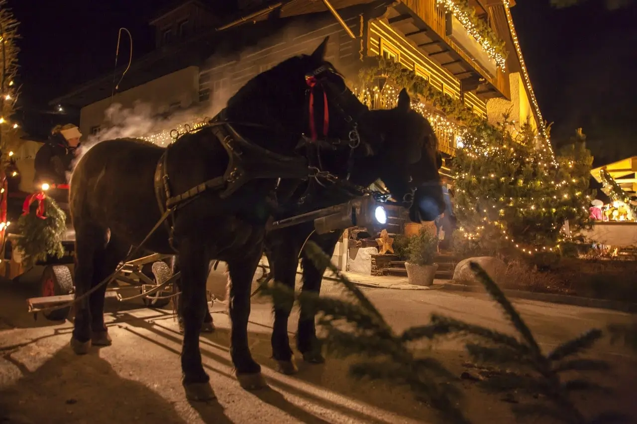 Zwei schwarze Pferde sind vor eine Kutsche gespannt. Hinter ihnen ist ein beleuchtetes Holzhaus und geschmückte Weihnachtsbäume.