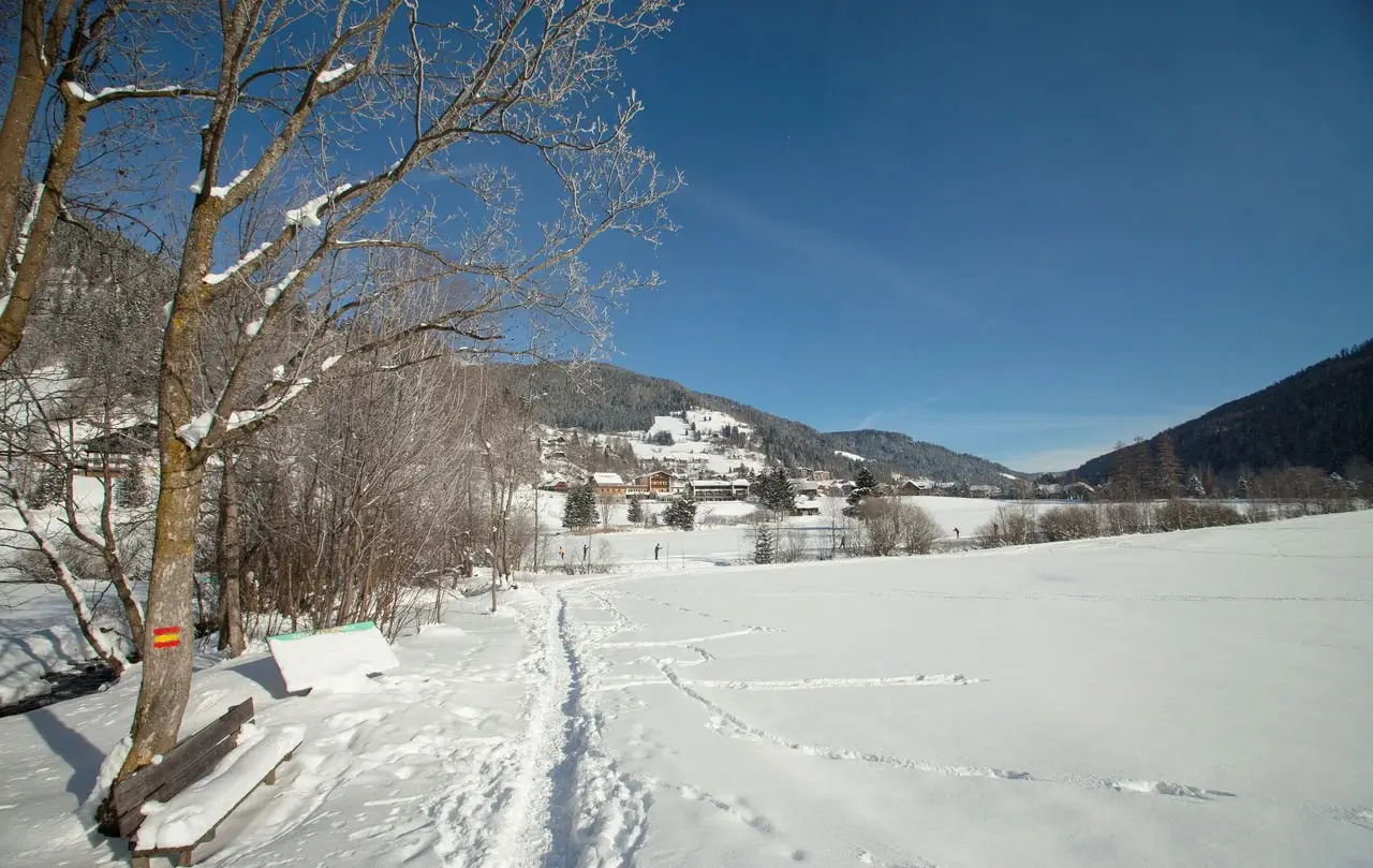 Ein verschneites Tal durch das ein ausgetretener Weg durch den Tiefschnee entlang eines Baches führt. Links neben dem Weg sind eine Holzbank und einige schneebedeckte Bäume. Weiter hinten im Tal erkennt man eine Langlaufloipe mit vier Personen.