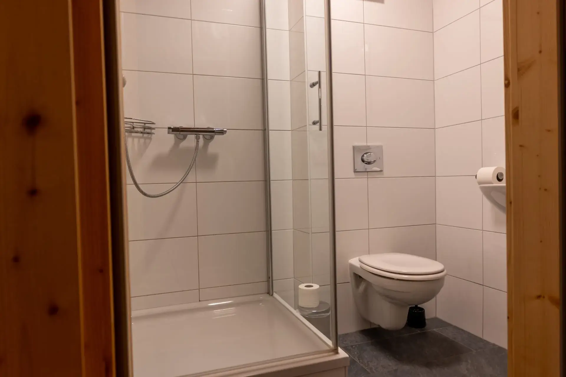 Světlá koupelna v apartmánu u jezera Traunsee v Gosau se sprchou, toaletou a moderním vybavením.