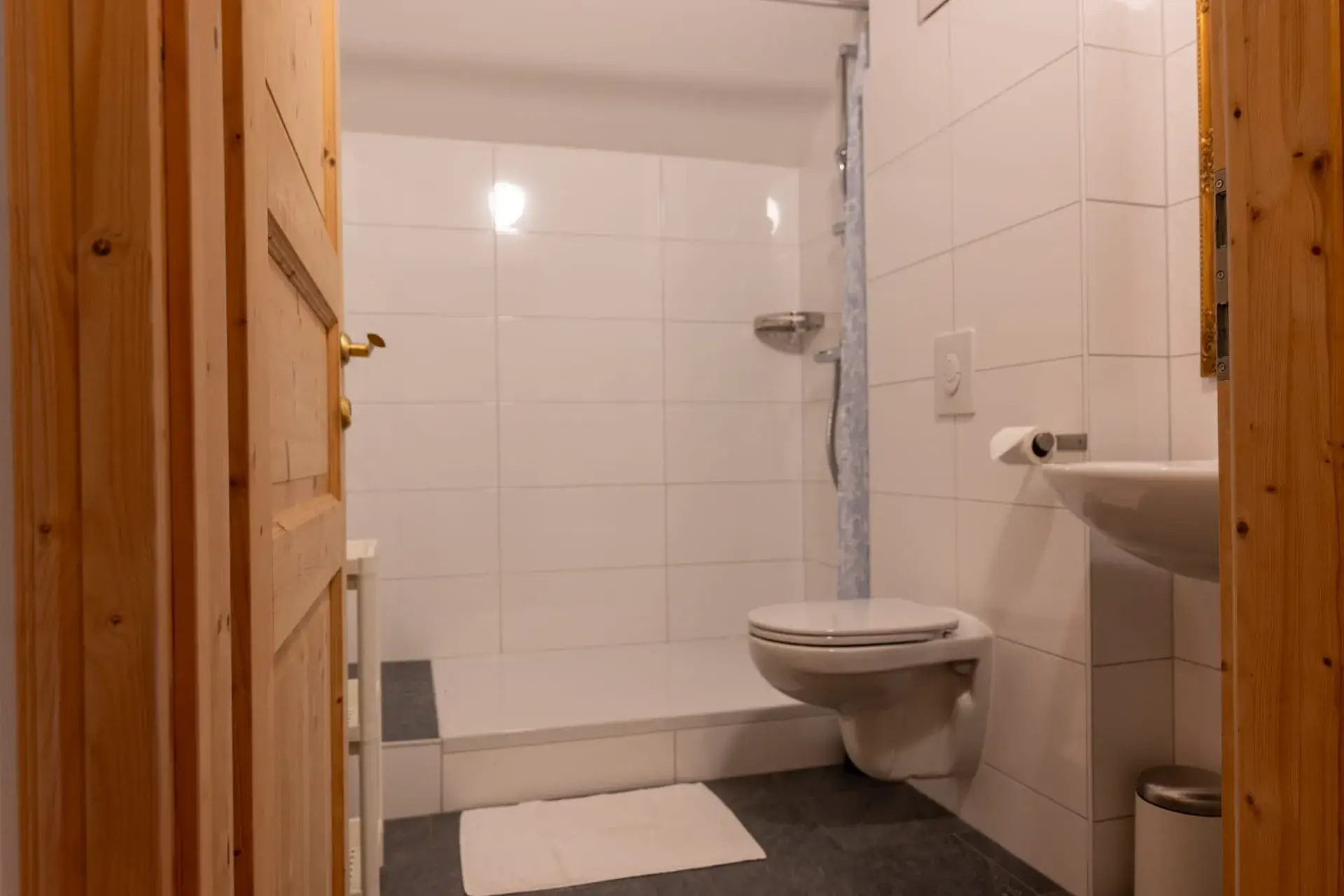 ampia doccia moderna con tenda, WC e lavabo