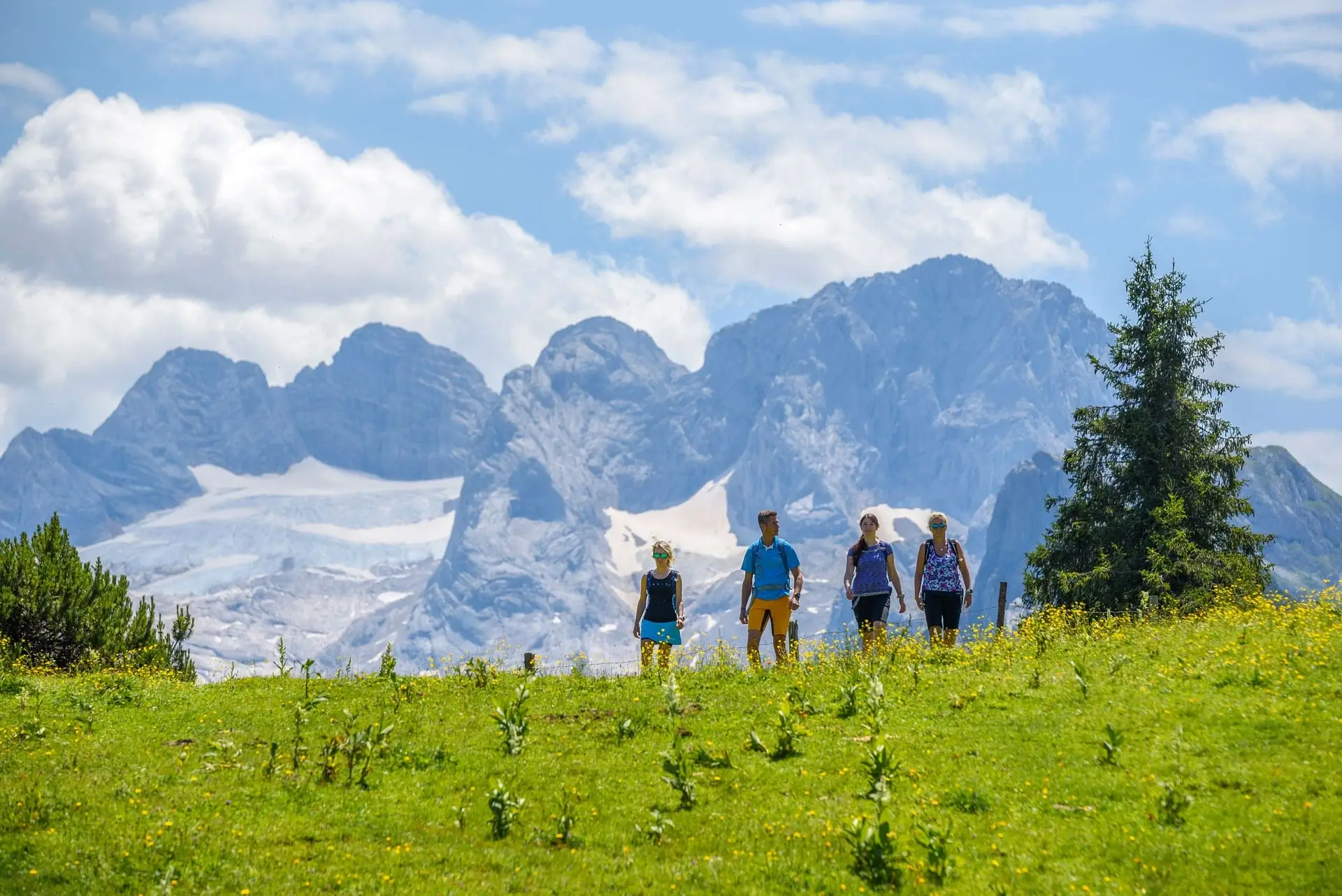 Čtyři lidé v turistické výstroji jdou po zelené louce v horách. Na louce kvetou žluté květy a za nimi se tyčí jehličnan. V pozadí je panorama obrovské hory, na které je ještě trochu sněhu.